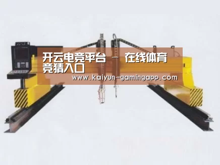 产品名称十八