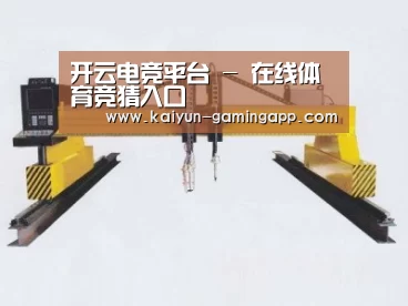 产品名称十九