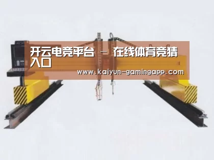 产品名称十九