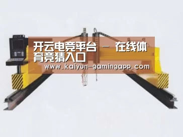 产品名称十七