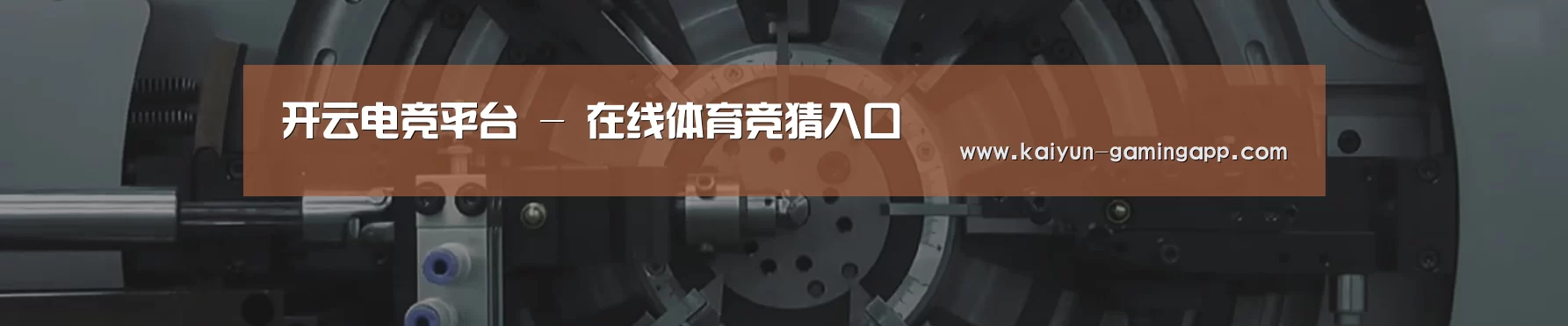 某某机械公司